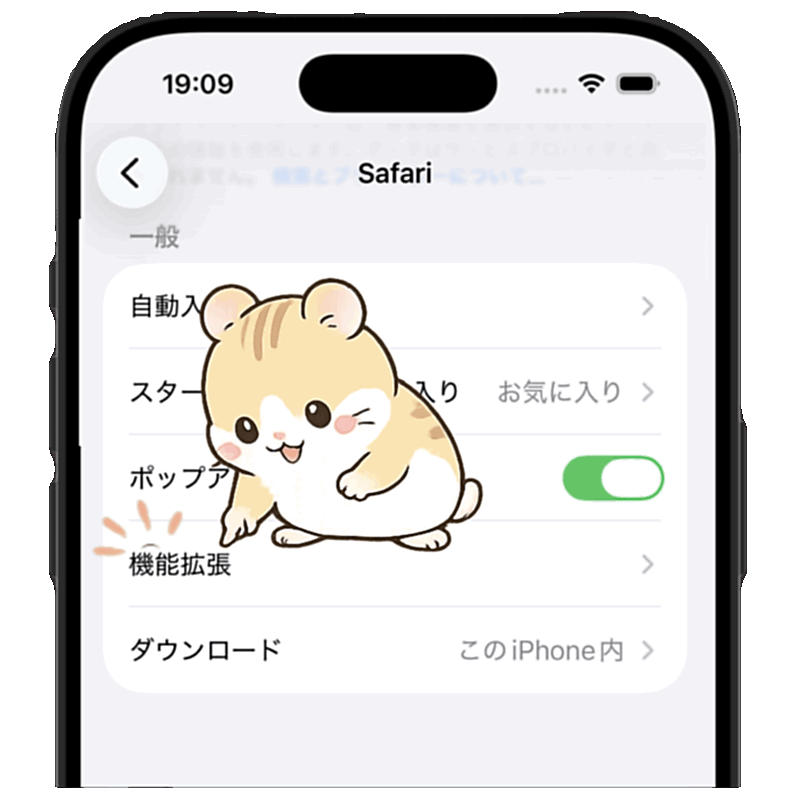 Safari設定内の機能拡張項目